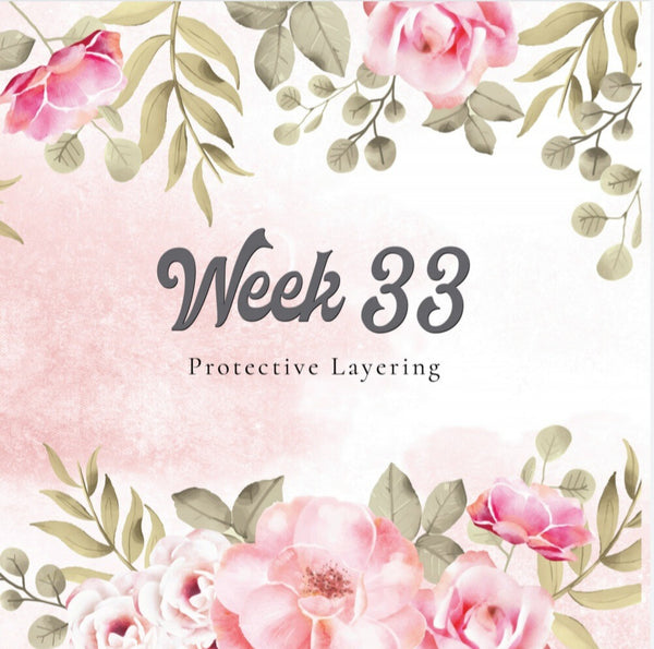 Womb Conversation Book