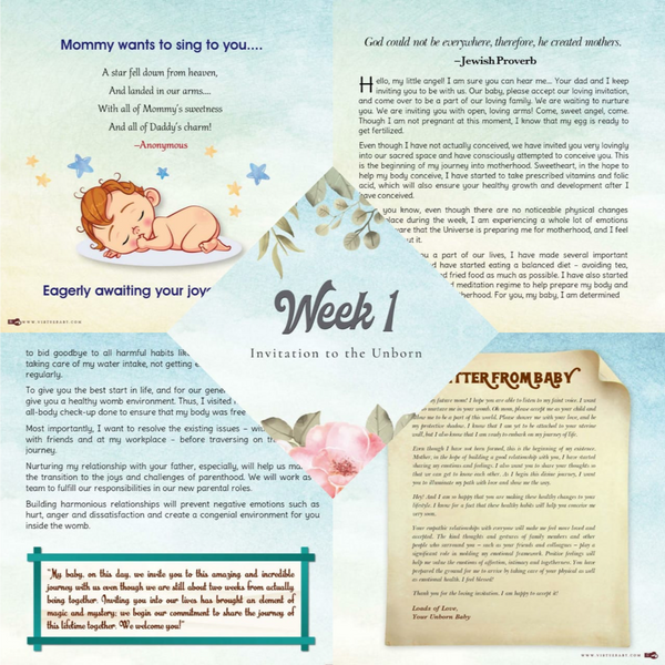 Womb Conversation Book